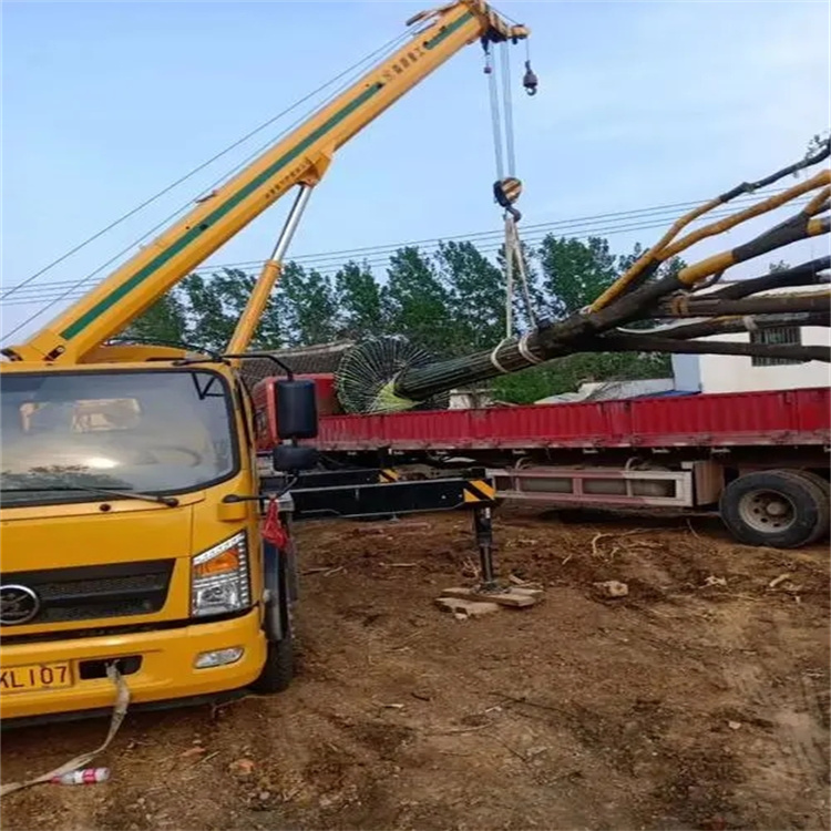 郧西100吨吊车租赁费用怎么算？3大关键因素+省钱技巧全解析